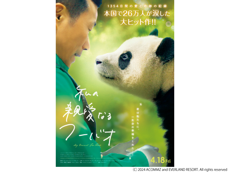 私の親愛なるフーバオ