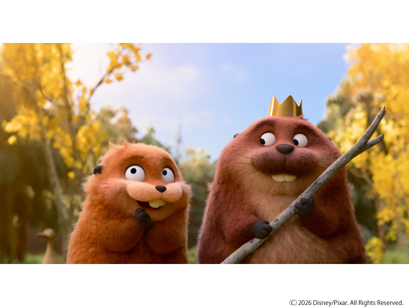 私がビーバーになる時