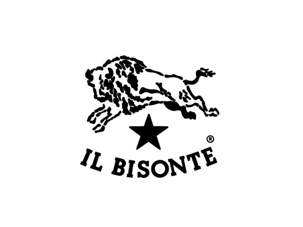 IL BISONTE