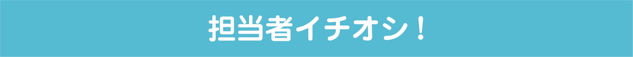 担当者イチオシ！