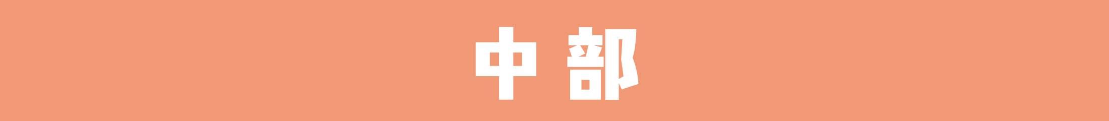 中部