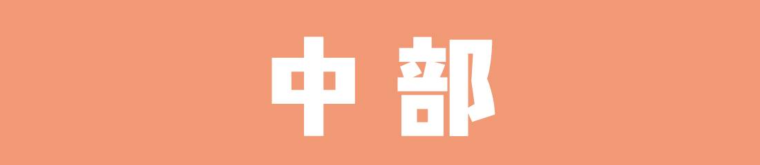 中部